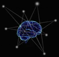 SocioGraph Solutions