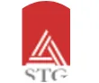 Software Technology Group International