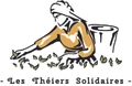 Solidary tea plants