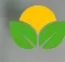 Solis logo