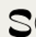 SONSIE logo