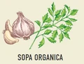 Sopa Organica