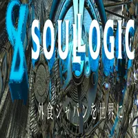 SOUL LOGIC PARTNERS logo