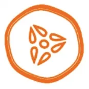 SoundSafe logo