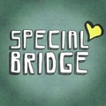 Special Bridge logo