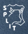 Split Group