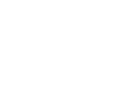 Spokefly logo