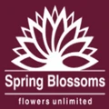 Spring Blossoms