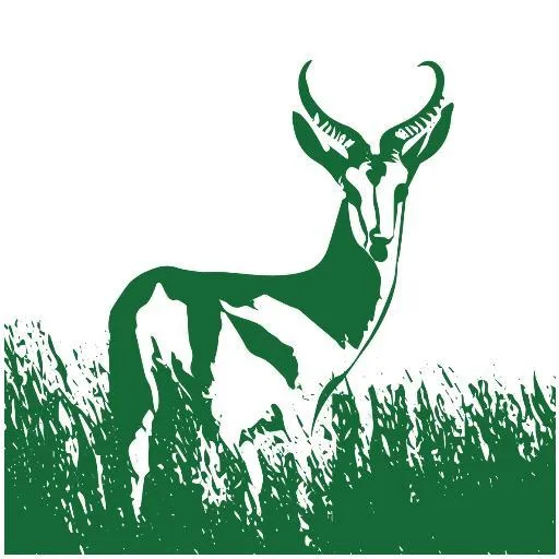 Springbok Energy