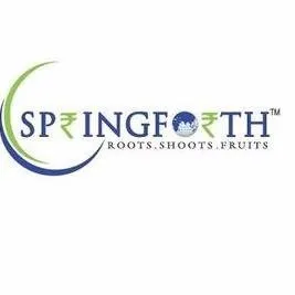 Springforth Capital Advisors logo