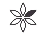 Spring Star Capital logo