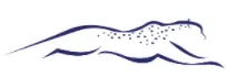Sprint Financial Services