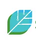 Sprout Asia logo