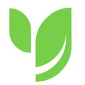 Spruce Media logo