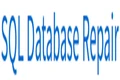 SQL database repair logo
