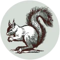 Squirrelseva Softech