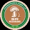 SR Mushrooms