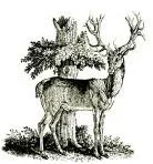Stag’s Leap Wine Cellars logo