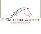 Stallion Asset