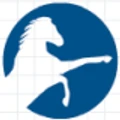 Stallions Softwares