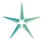 StarLine logo