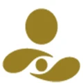 State Oil Fund of Azerbaijan logo
