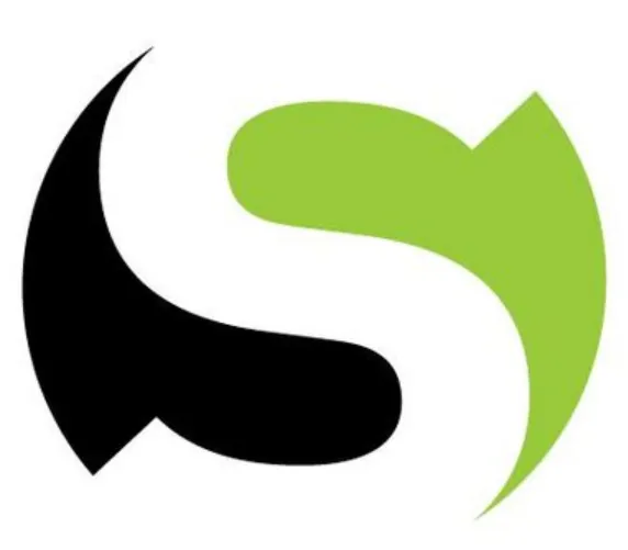 Steady Networks logo