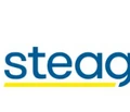 STEAG Energy Services logo