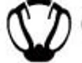 Stealthy Gaming logo