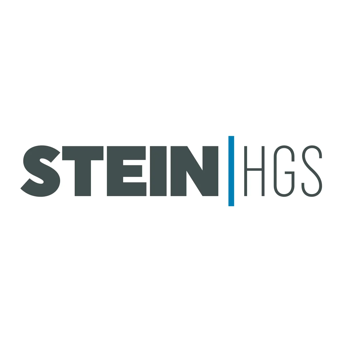 STEIN HGS logo