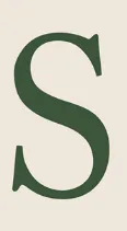 Stella logo