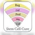 Stem Cell Therapy India
