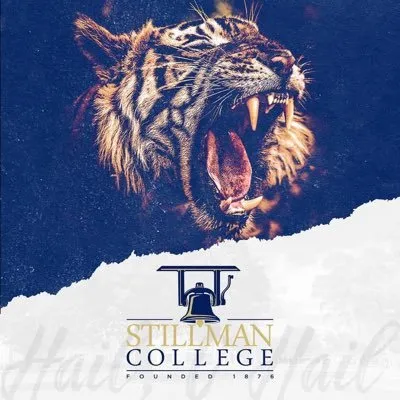 Stillman logo