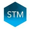 STM Group logo