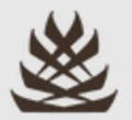 Stonepine logo