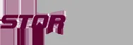 Storflex logo