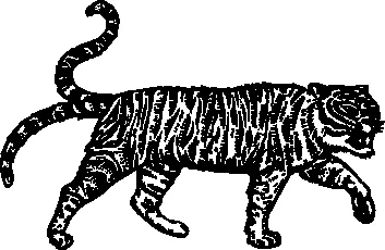 Stranger and Sons logo