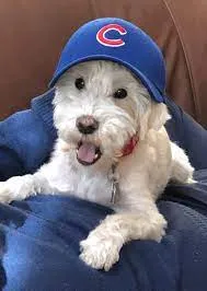 StrataScape Consulting logo