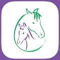 Stretch Your Horse logo