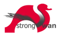 strongSwan logo