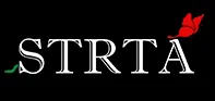 Strta Consulting Services