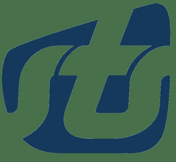 STS Group logo
