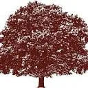 Studemont Group logo