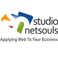 Studio NetSouls
