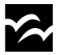 STV logo
