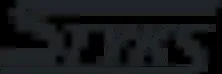 Styks logo
