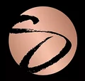 StyleNow logo