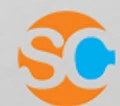 Stylite Consulting Service