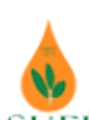 Sufi Ayurveda