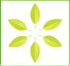 Summer Garden Food logo